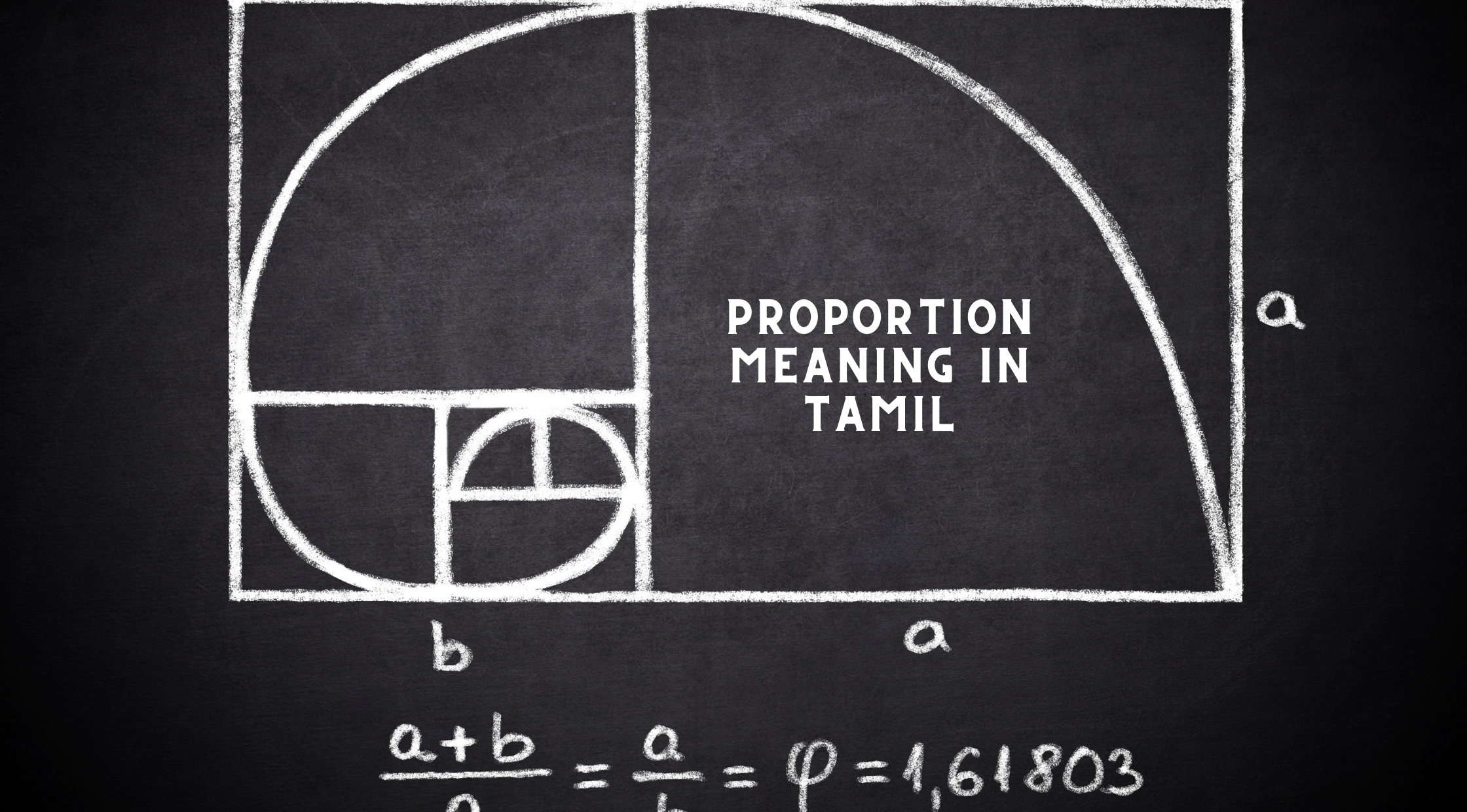 Proportion Meaning in Tamil